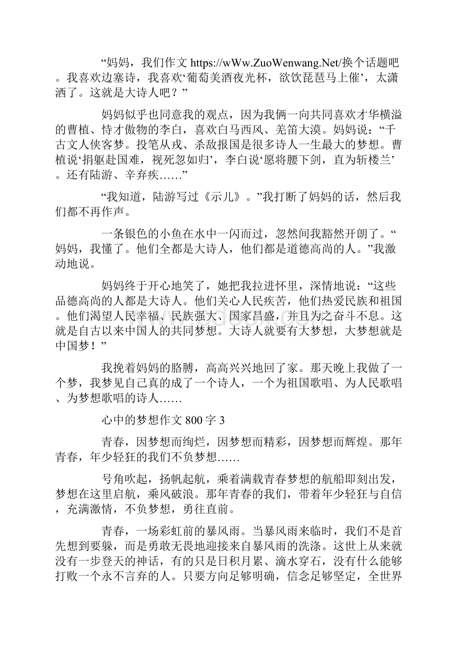 心中的梦想作文800字.docx_第3页