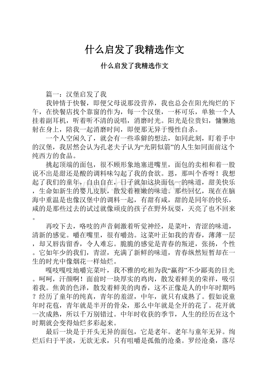 什么启发了我精选作文.docx_第1页