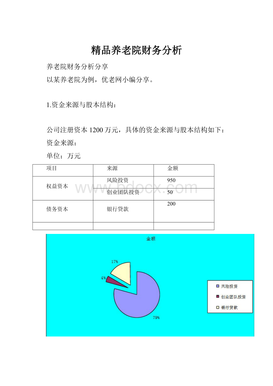 精品养老院财务分析.docx