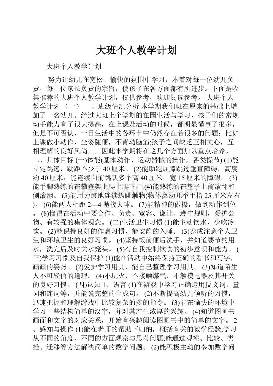 大班个人教学计划.docx