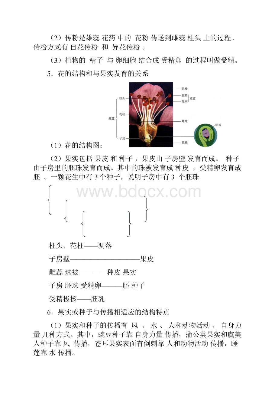 八年级生物下册中考复习知识点苏教版.docx_第2页