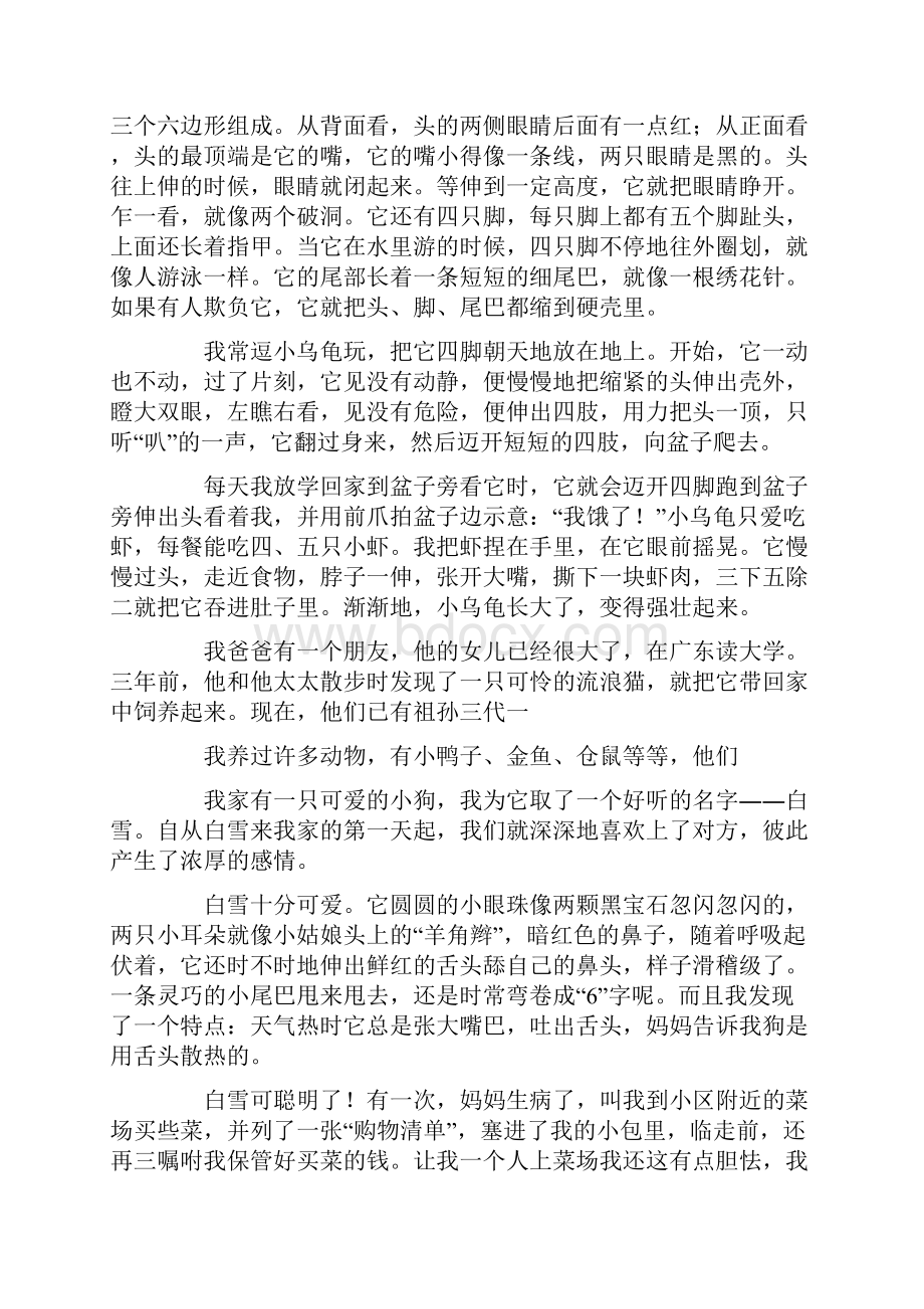 动物的故事3.docx_第3页