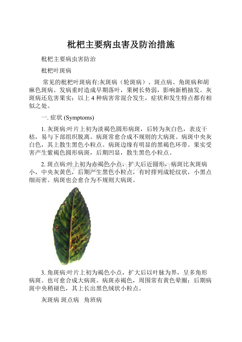 枇杷主要病虫害及防治措施.docx