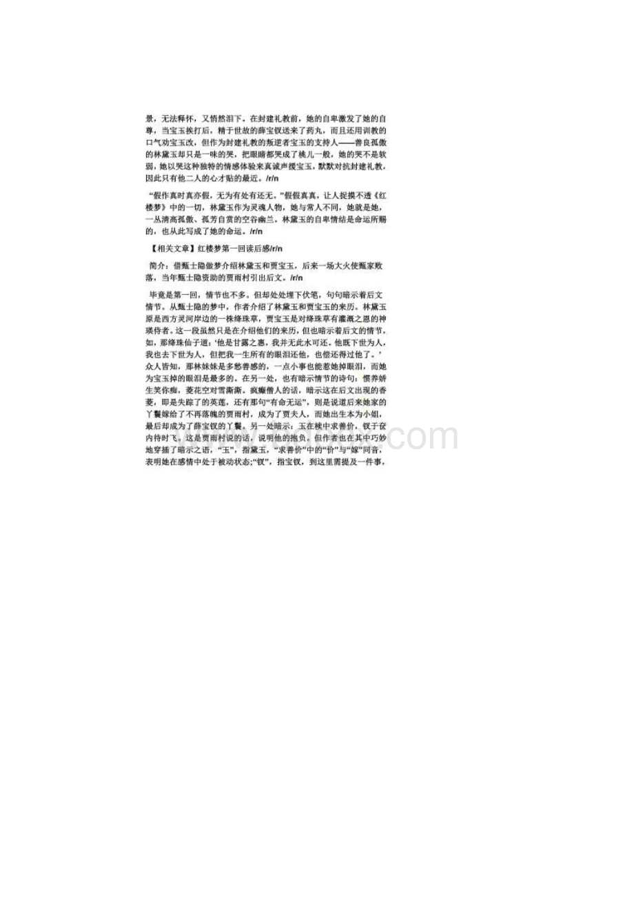 红楼梦20回读书笔记.docx_第2页