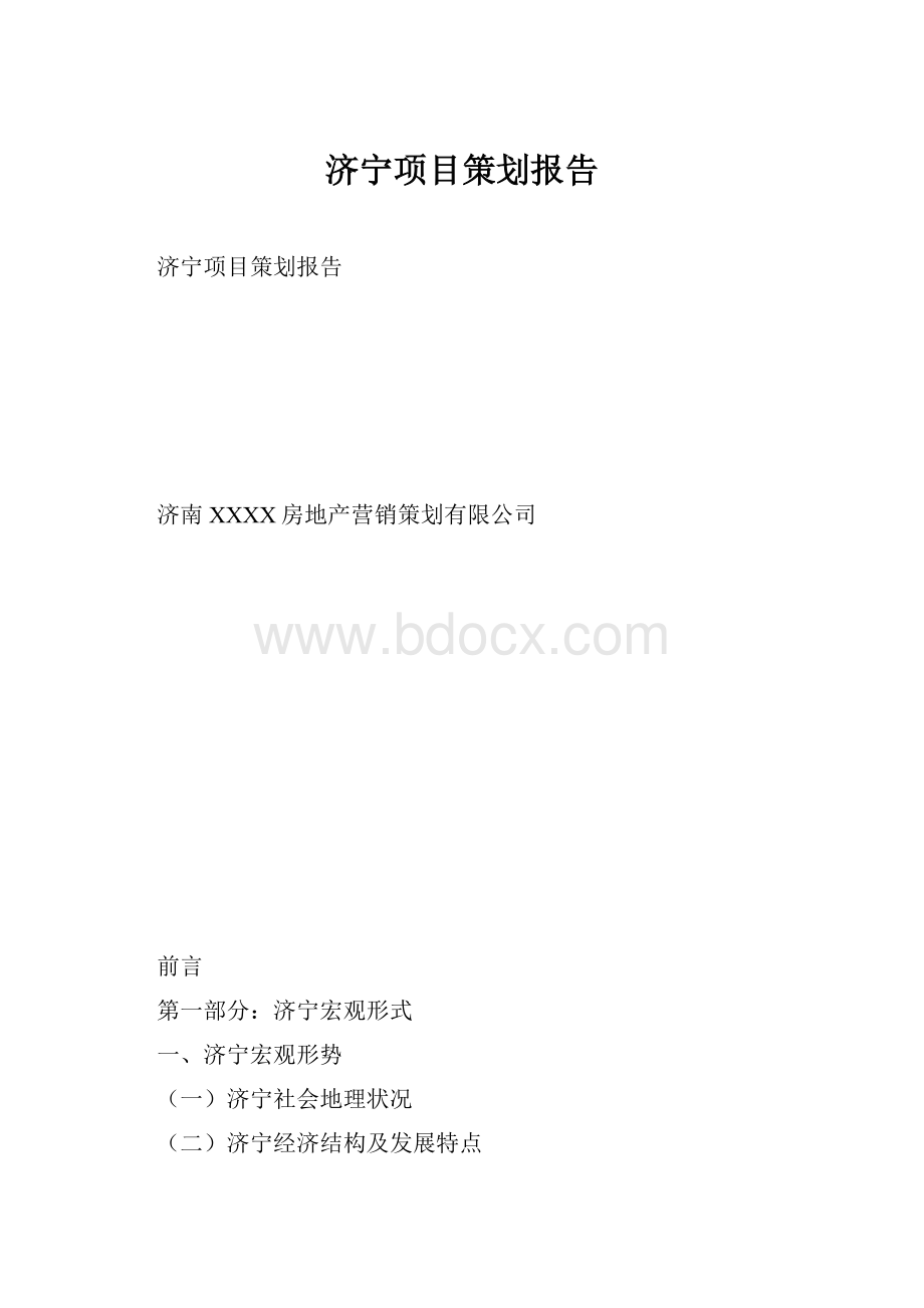 济宁项目策划报告.docx_第1页