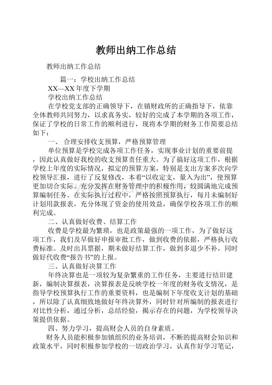 教师出纳工作总结.docx