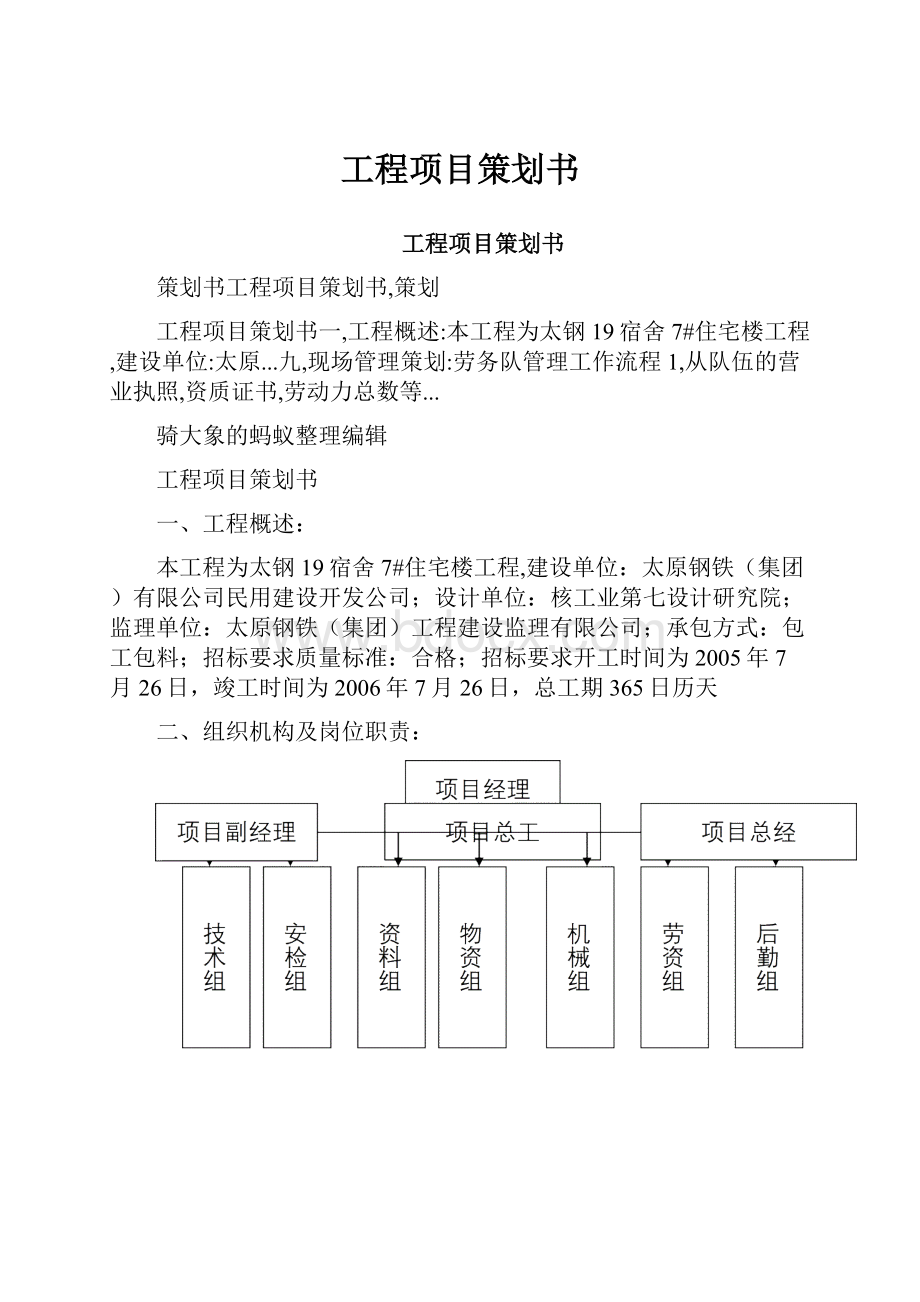 工程项目策划书.docx