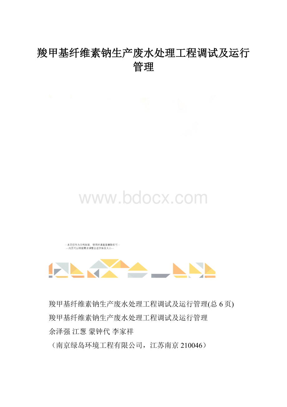 羧甲基纤维素钠生产废水处理工程调试及运行管理.docx