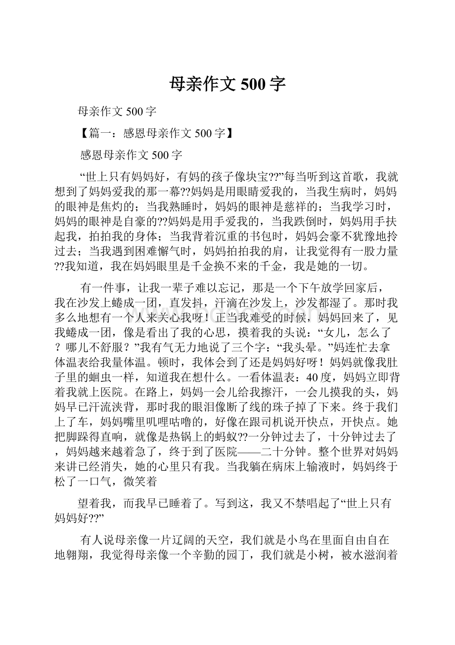 母亲作文500字.docx