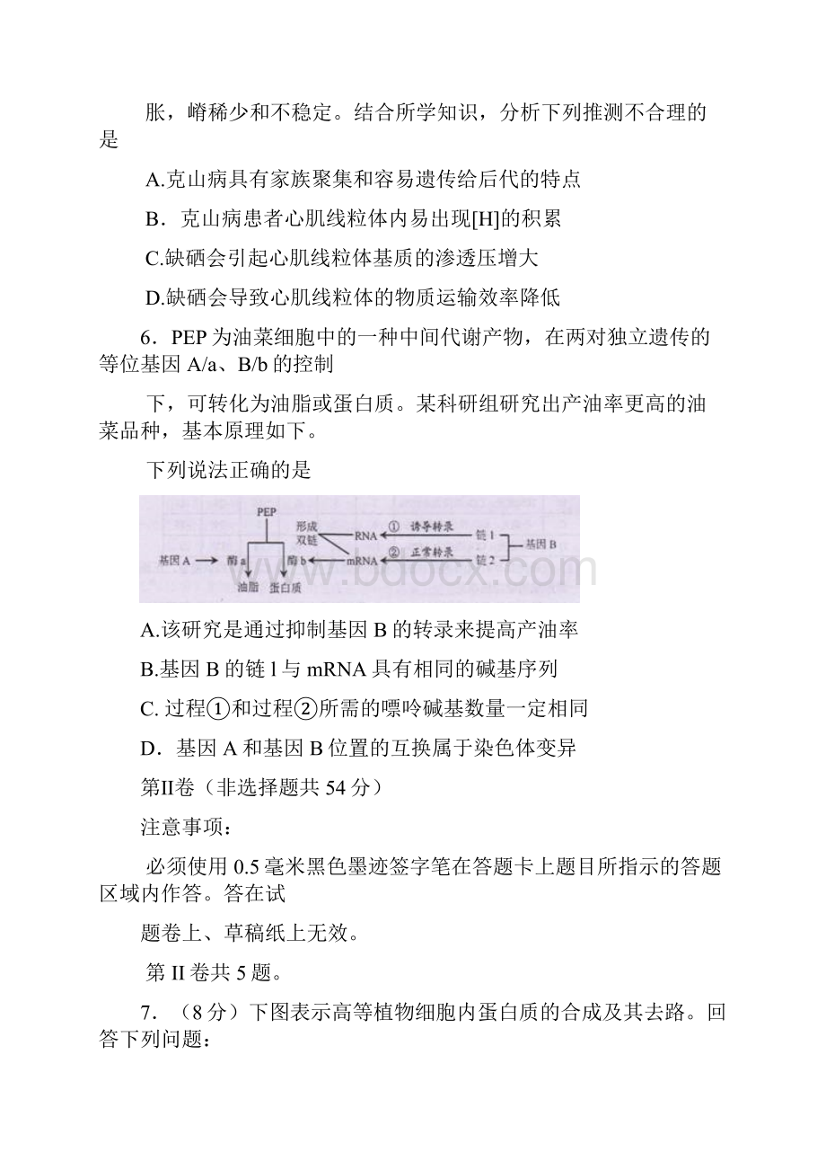 届四川省绵阳市高三第一次诊断性测试理科综合试题及答案.docx_第3页