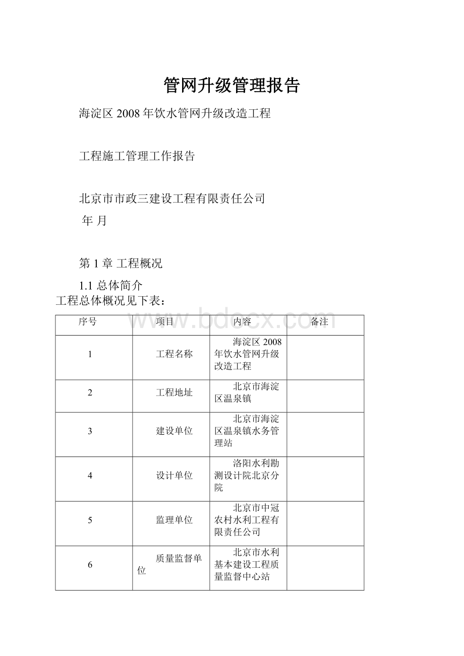 管网升级管理报告.docx