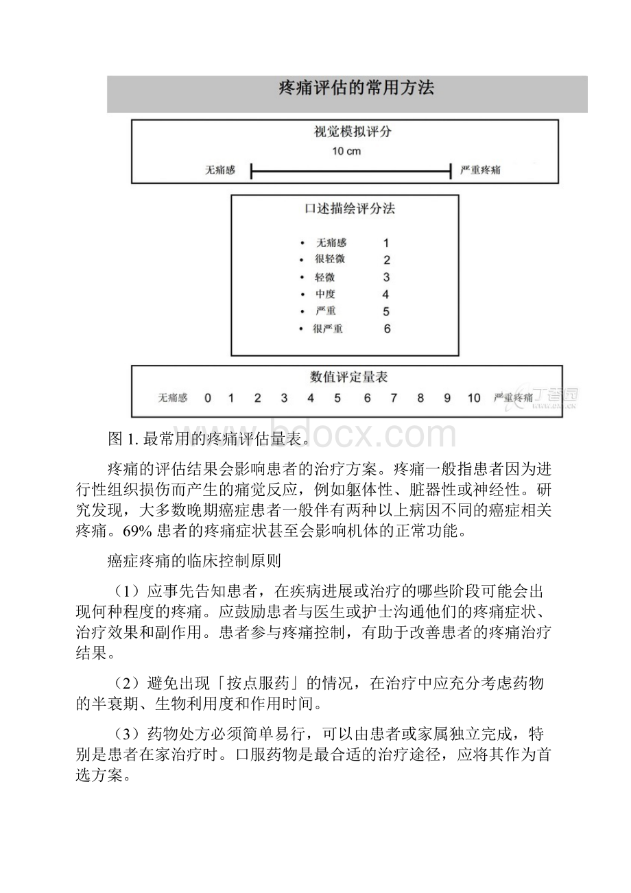 史上最全癌痛控制指南.docx_第3页