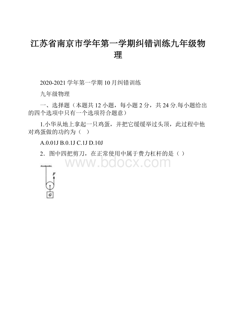 江苏省南京市学年第一学期纠错训练九年级物理.docx_第1页