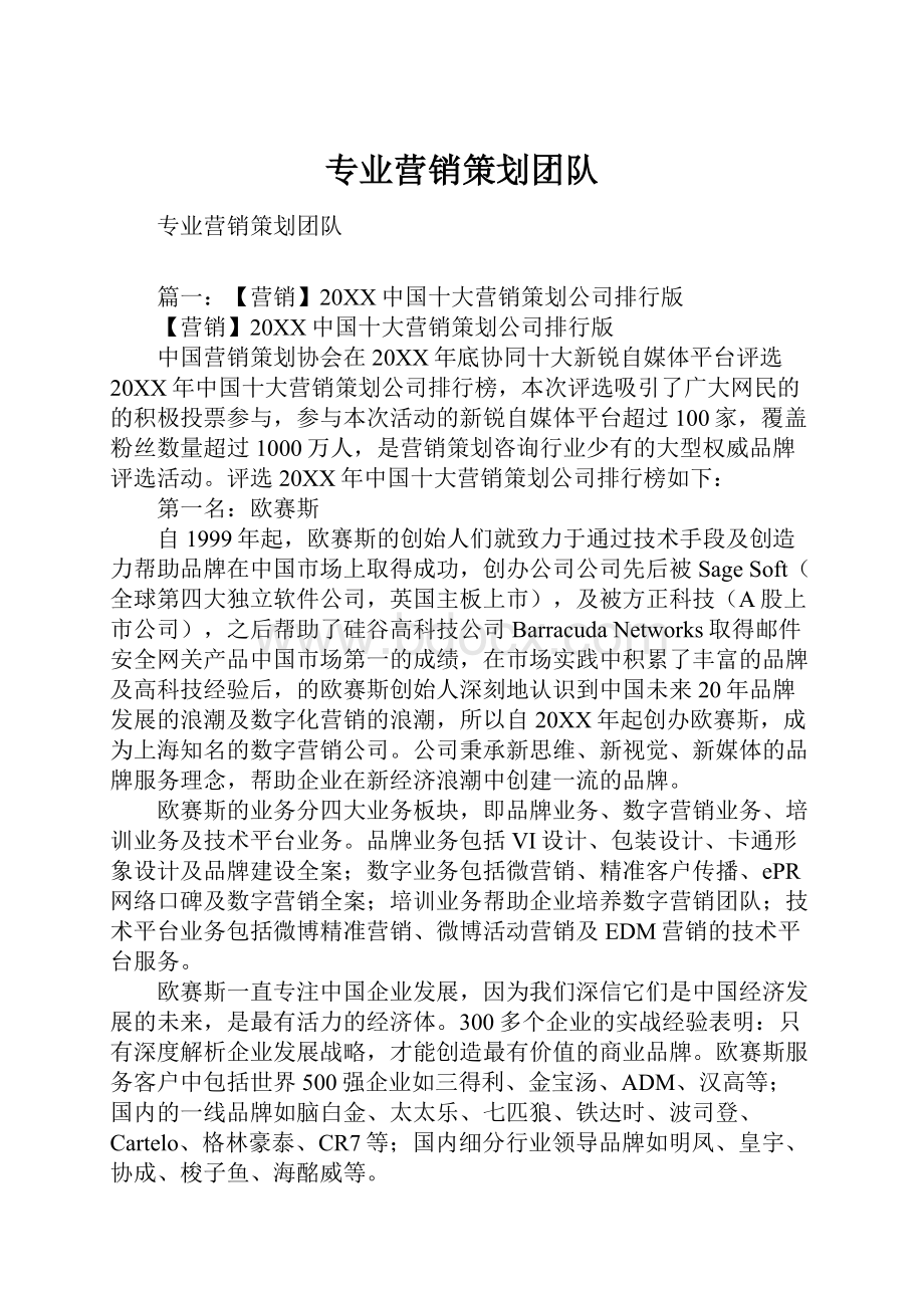 专业营销策划团队.docx