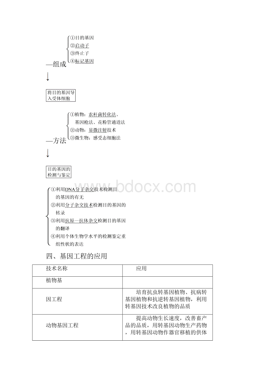 优化方案版高考生物大一轮复习 第十一单元 现代生物科技专题 第38讲 基因工程及其安全性讲义.docx_第3页