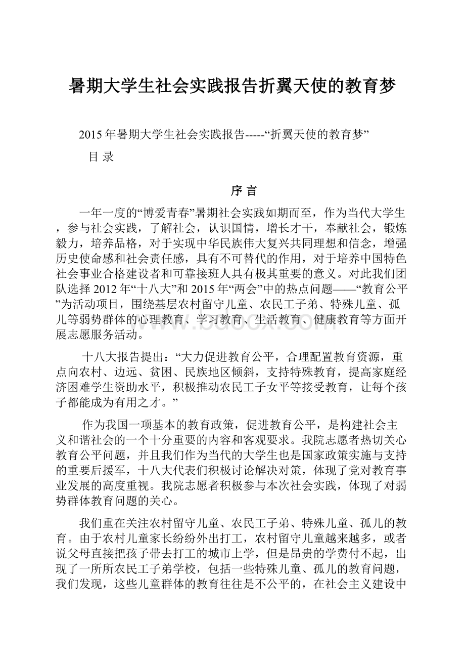 暑期大学生社会实践报告折翼天使的教育梦.docx