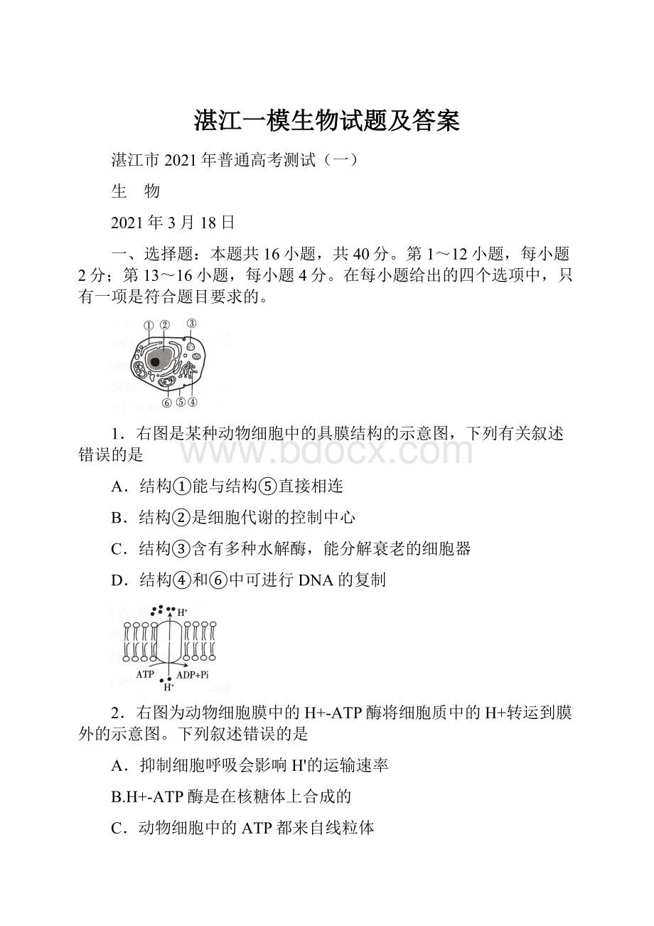 湛江一模生物试题及答案.docx