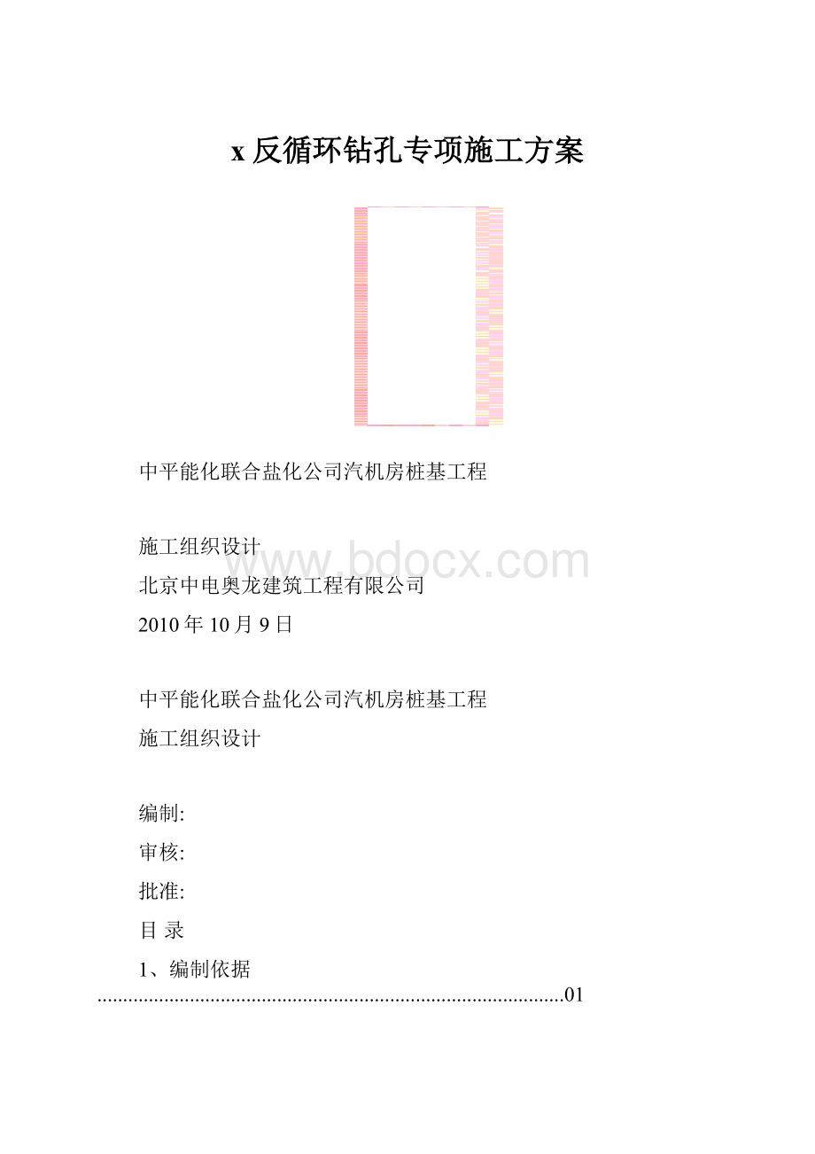 x反循环钻孔专项施工方案.docx