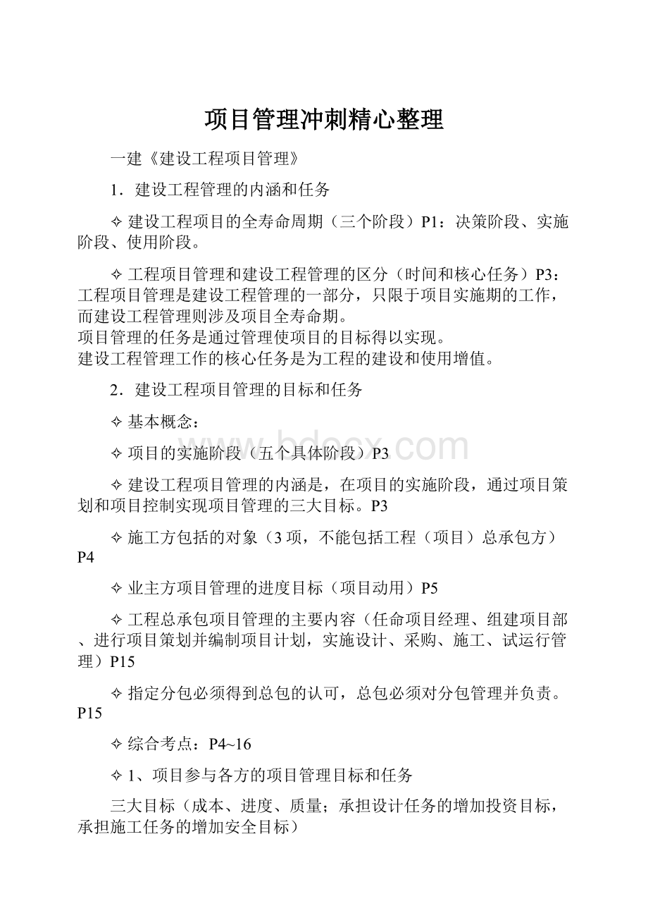 项目管理冲刺精心整理.docx