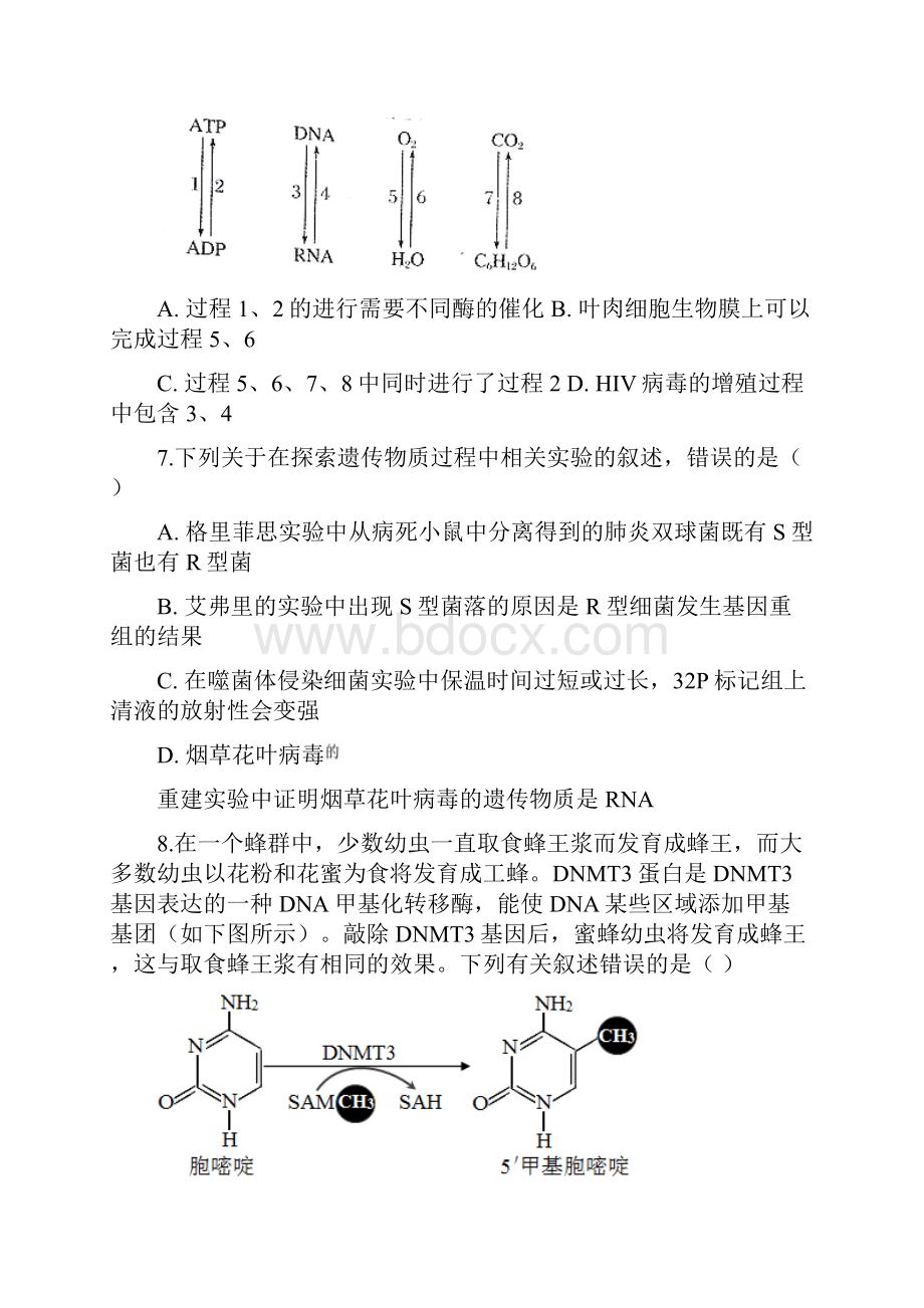 南京市盐城市届高三年级第二次模拟考试生物试题16页.docx_第3页