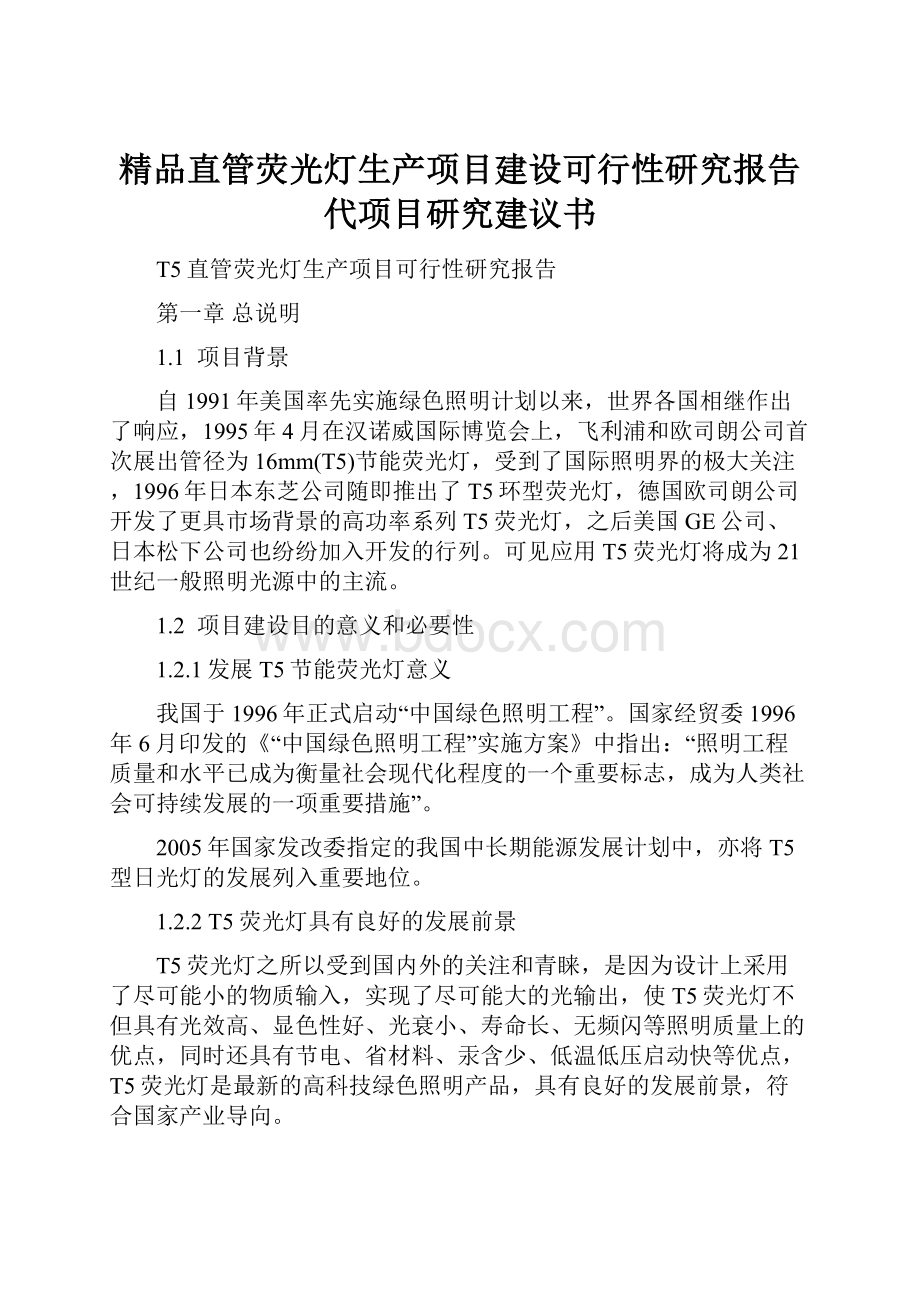 精品直管荧光灯生产项目建设可行性研究报告代项目研究建议书.docx