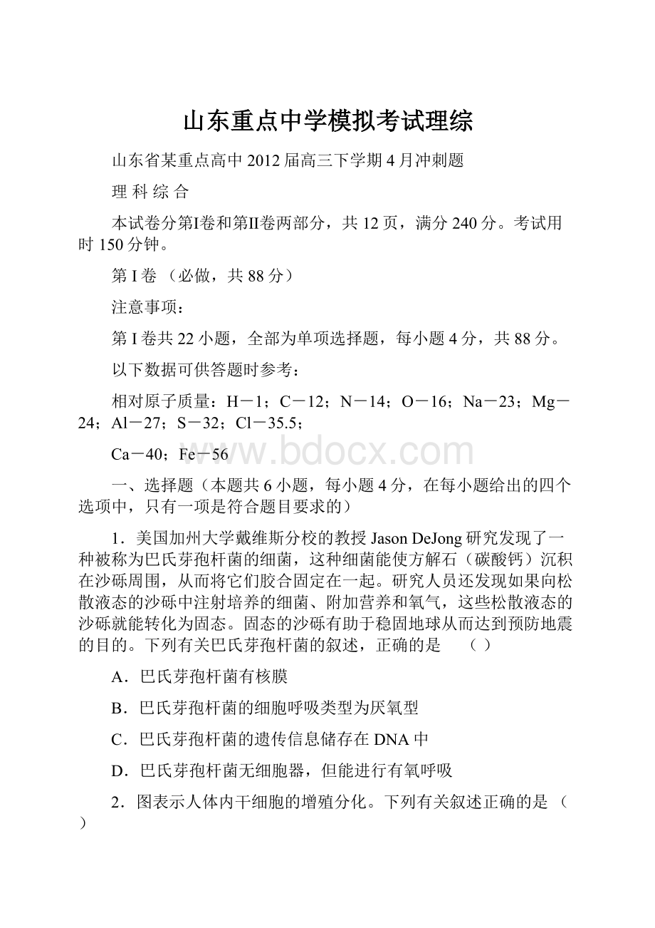 山东重点中学模拟考试理综.docx