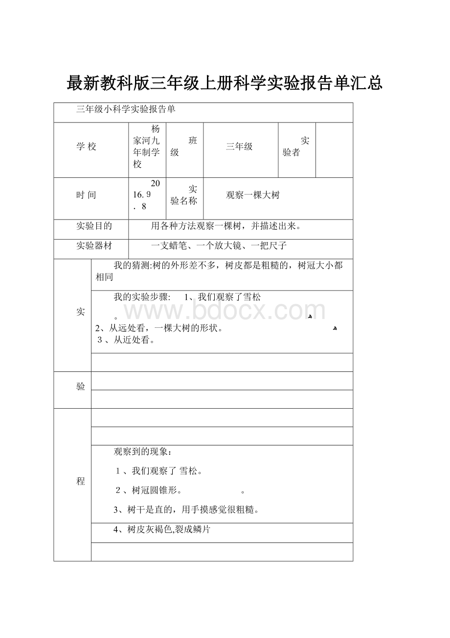 最新教科版三年级上册科学实验报告单汇总.docx