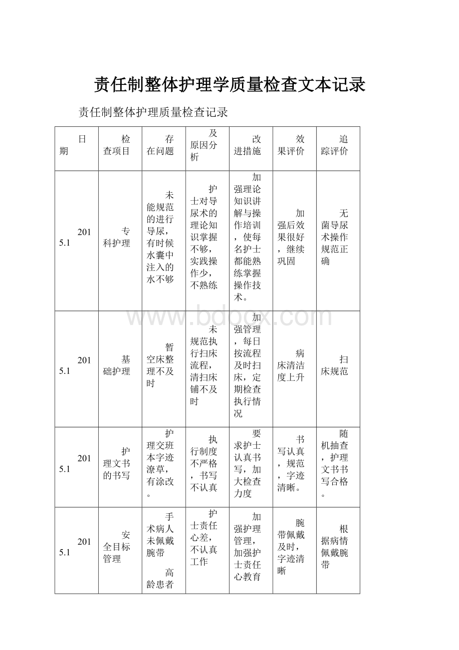 责任制整体护理学质量检查文本记录.docx_第1页