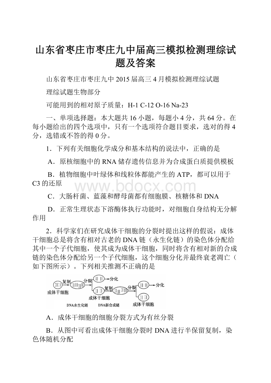 山东省枣庄市枣庄九中届高三模拟检测理综试题及答案.docx