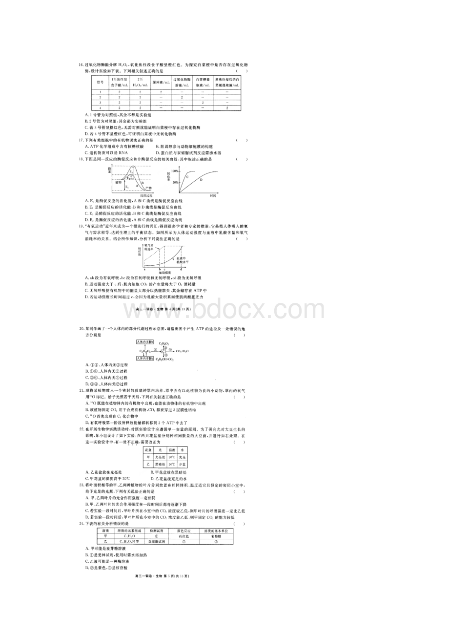 高三生物上学期一调考试试题.docx_第3页