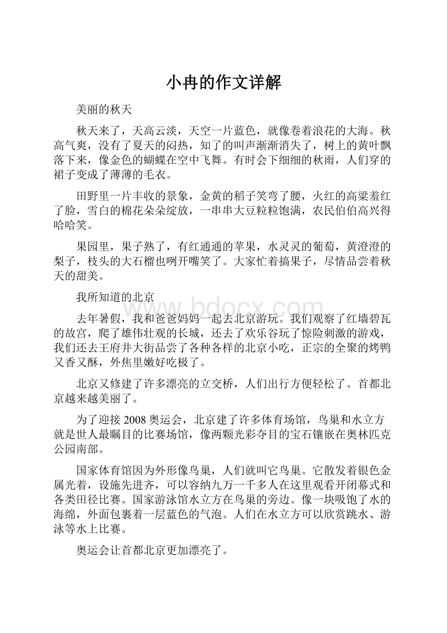 小冉的作文详解.docx