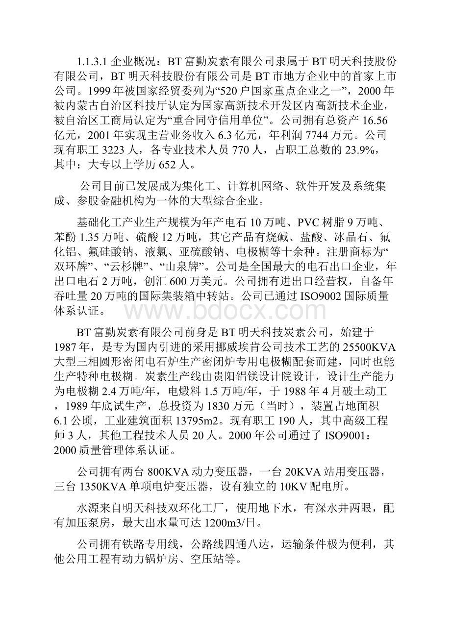 炭素节能及综合利用改造项目建设可研报告.docx_第2页