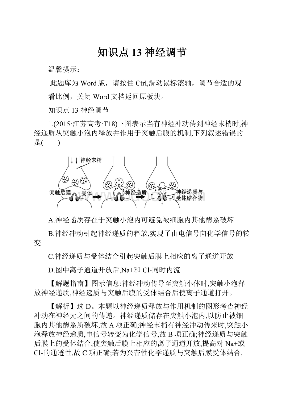 知识点13 神经调节.docx