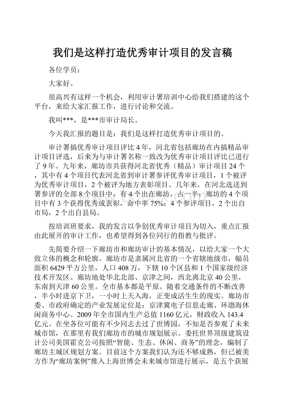 我们是这样打造优秀审计项目的发言稿.docx