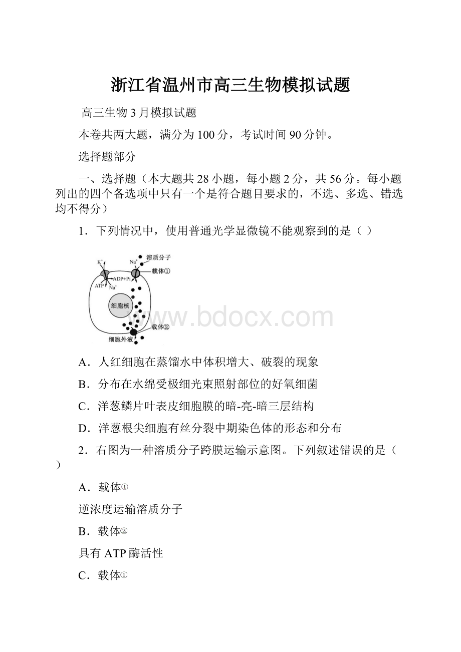 浙江省温州市高三生物模拟试题.docx_第1页