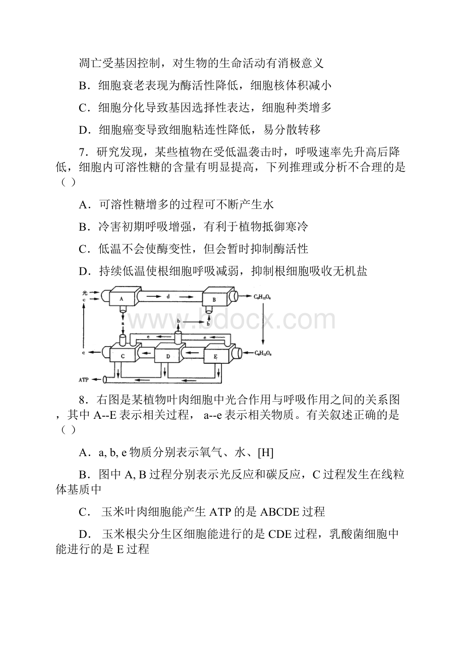 浙江省温州市高三生物模拟试题.docx_第3页