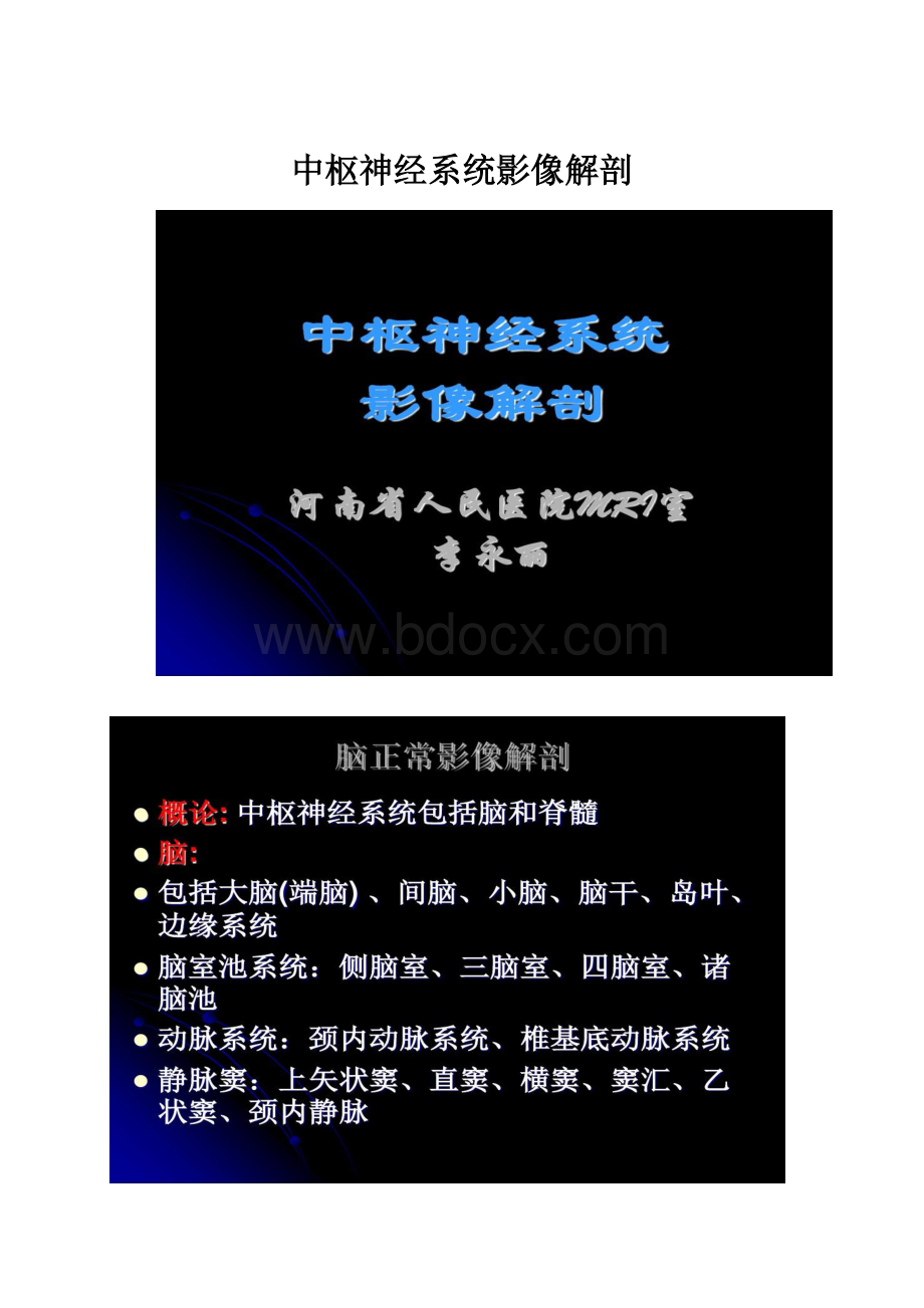 中枢神经系统影像解剖.docx_第1页