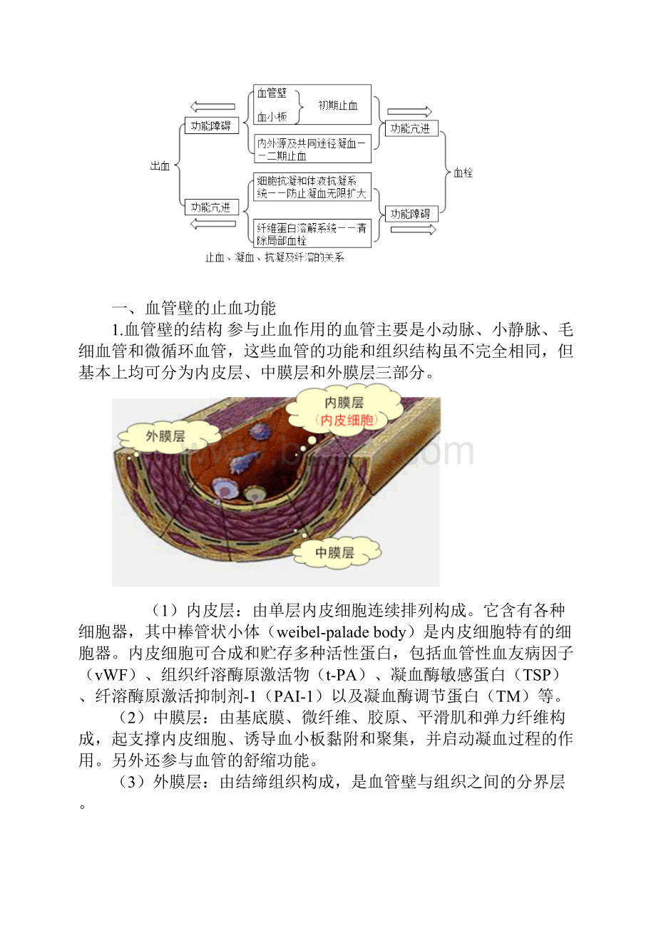 主管检验技师考试临床血液学检验讲义第二十八章出血与血栓的基础理论.docx_第2页