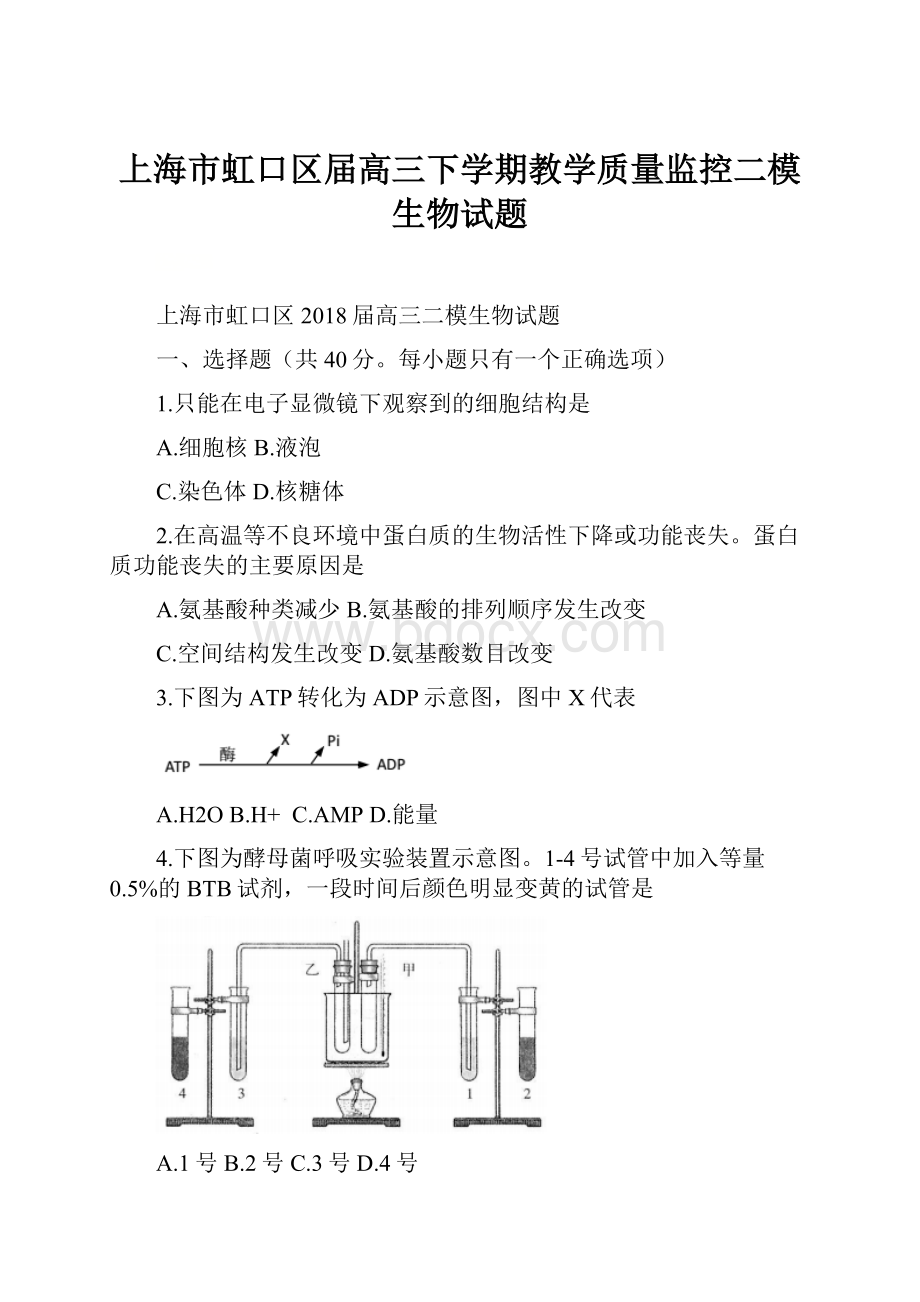 上海市虹口区届高三下学期教学质量监控二模生物试题.docx