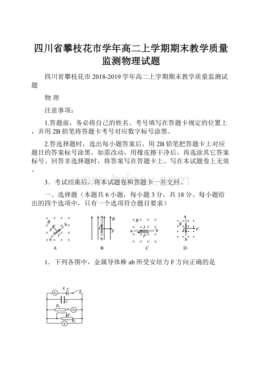 四川省攀枝花市学年高二上学期期末教学质量监测物理试题.docx