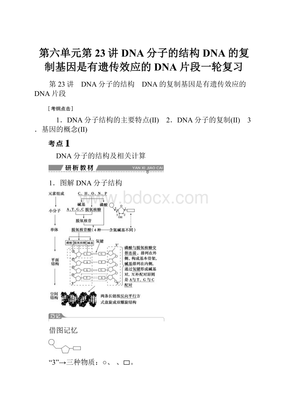 第六单元第23讲DNA分子的结构DNA的复制基因是有遗传效应的DNA片段一轮复习.docx_第1页