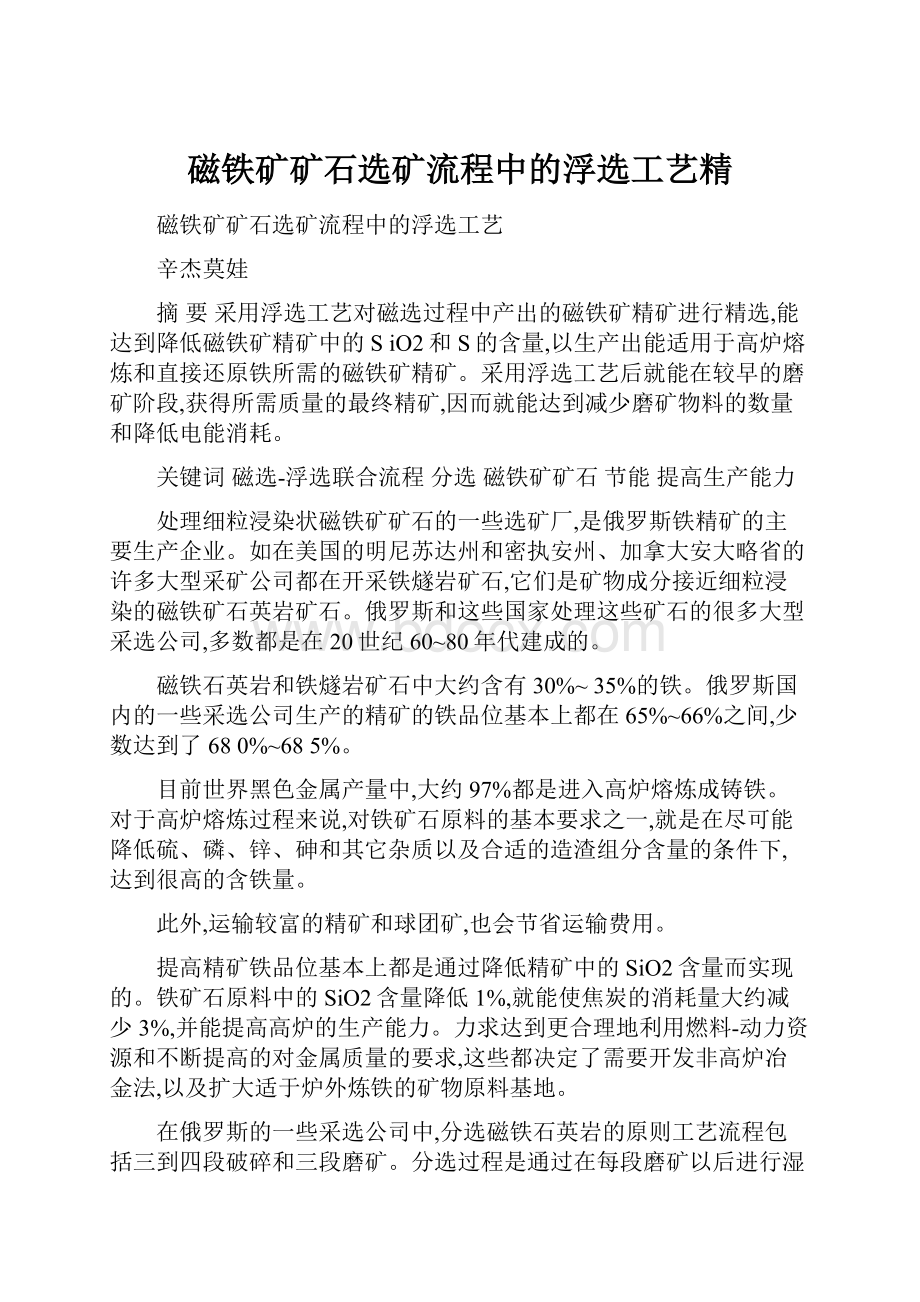 磁铁矿矿石选矿流程中的浮选工艺精.docx