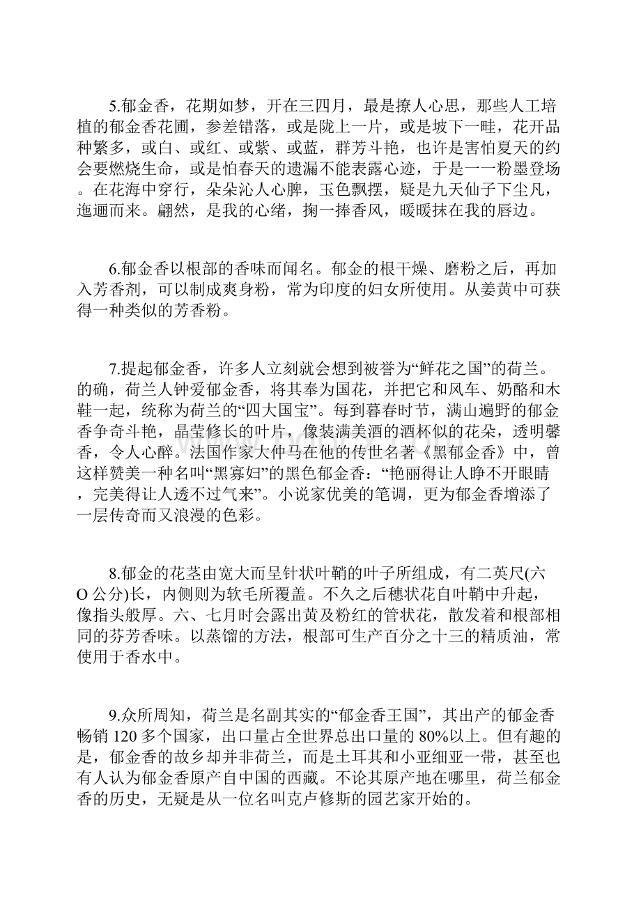 赞美郁金香的唯美段落.docx_第2页