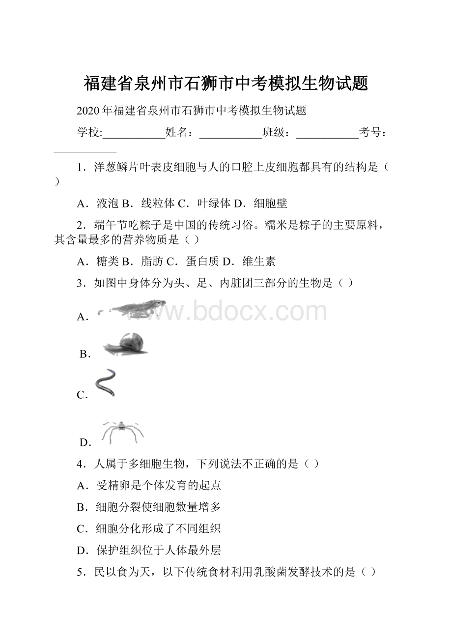 福建省泉州市石狮市中考模拟生物试题.docx