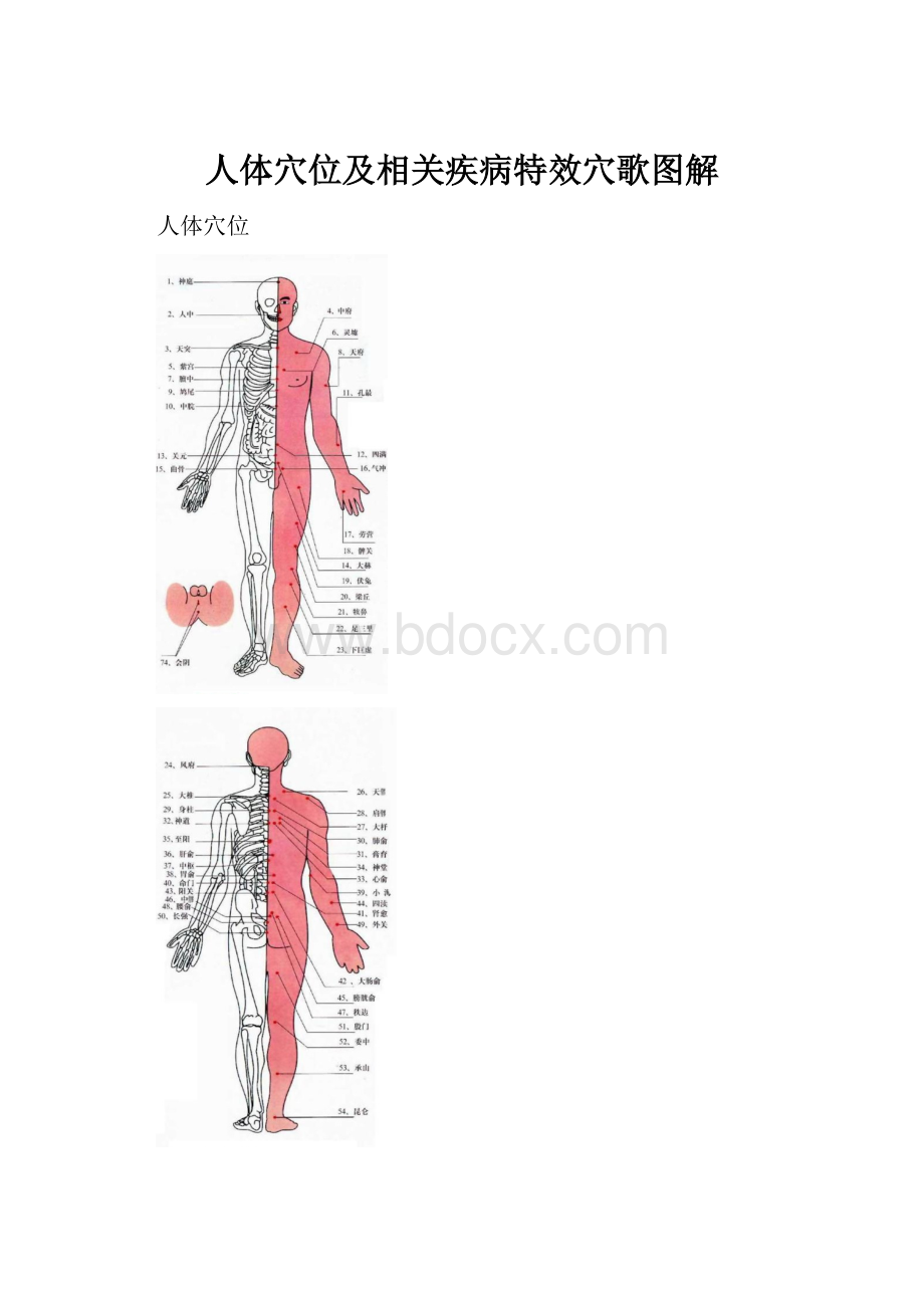 人体穴位及相关疾病特效穴歌图解.docx