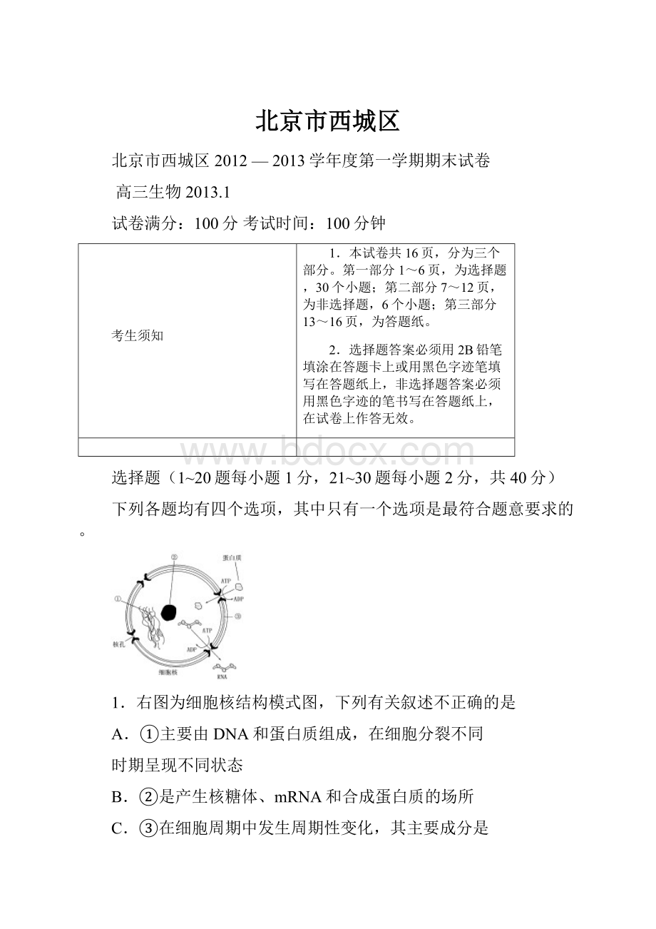 北京市西城区.docx