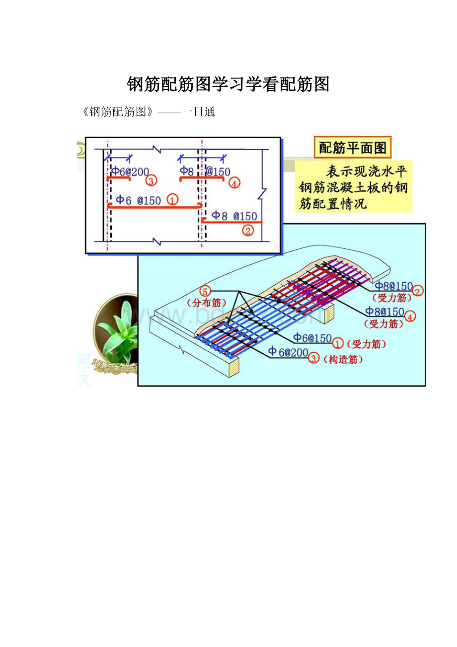 钢筋配筋图学习学看配筋图.docx