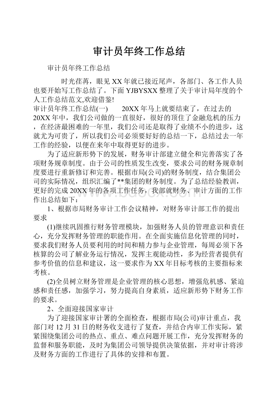 审计员年终工作总结.docx_第1页