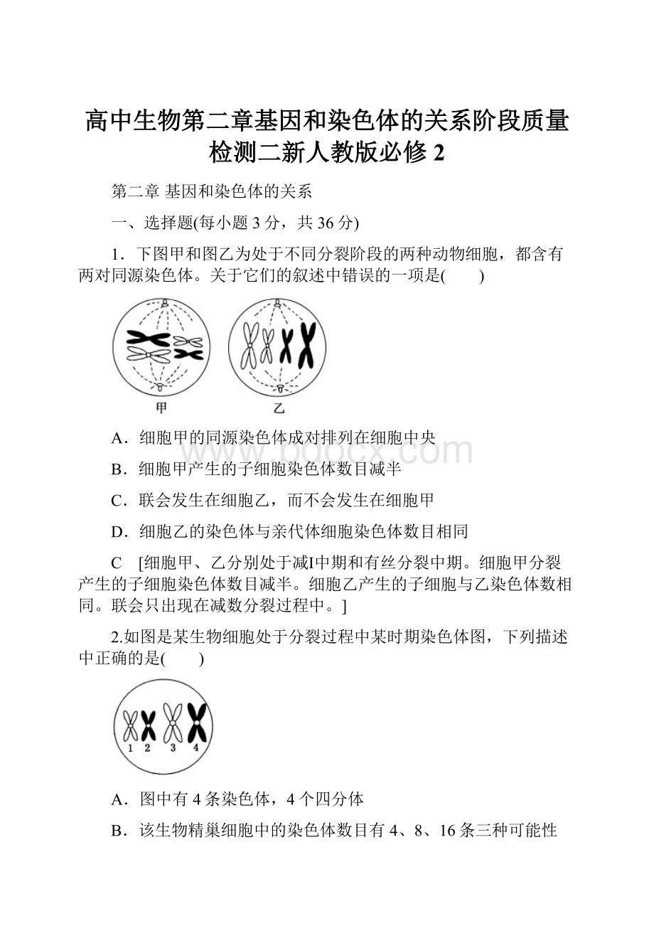 高中生物第二章基因和染色体的关系阶段质量检测二新人教版必修2.docx