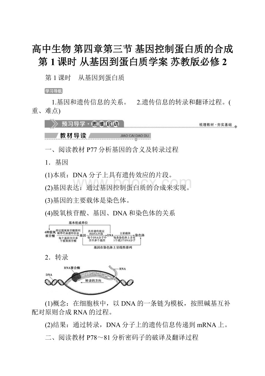 高中生物 第四章第三节 基因控制蛋白质的合成 第1课时 从基因到蛋白质学案 苏教版必修2.docx